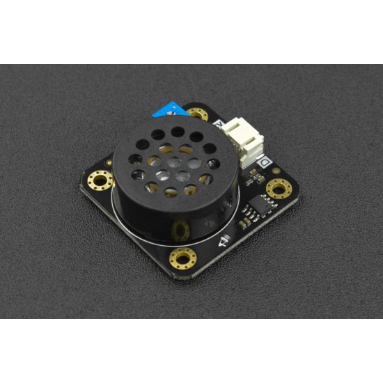 Digital Speaker Module (Gravity)