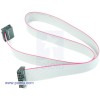 16-Conductor Ribbon Cable with IDC Connectors 20"