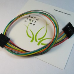 6 pin Dual-Female Jumper Wire - 30 cm
