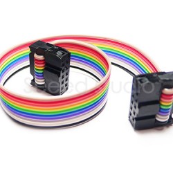 Electronic brick - 10 pin ribbon cable with 2x5 IDC connector